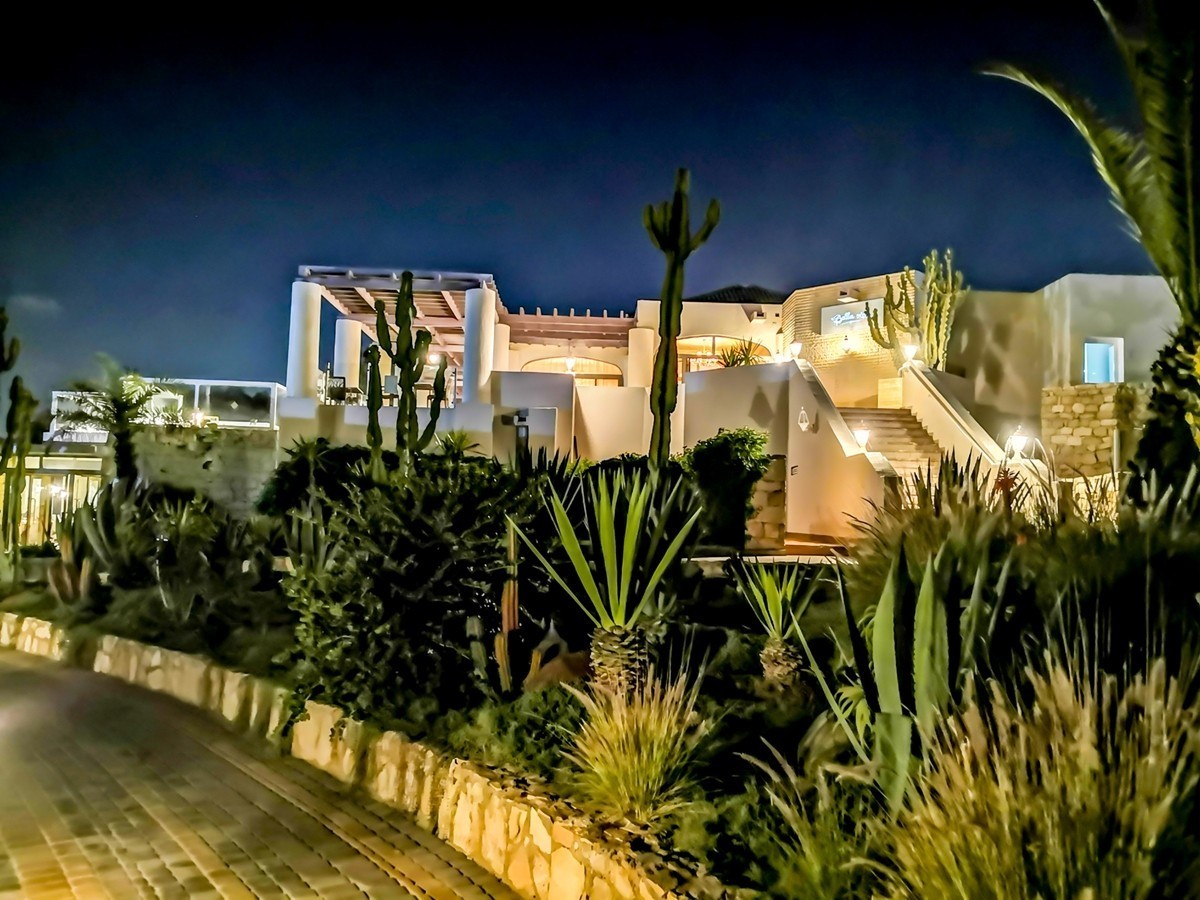 携“阿加迪尔随拍”-- 祝师友兔年吉祥，健康平安！！！