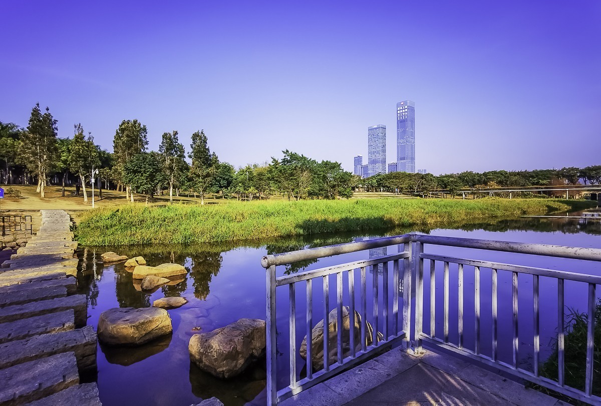 深圳中心公园掠影