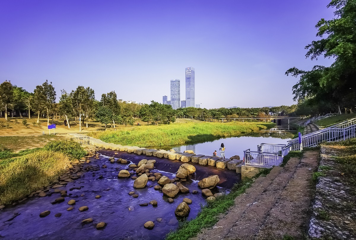 深圳中心公园掠影