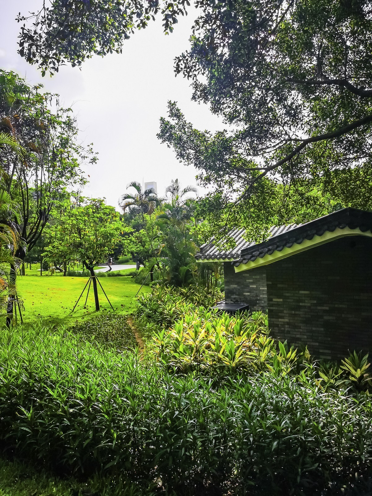 深圳四海公园掠影