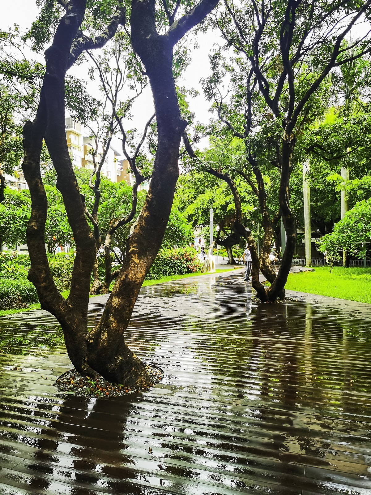 深圳四海公园掠影