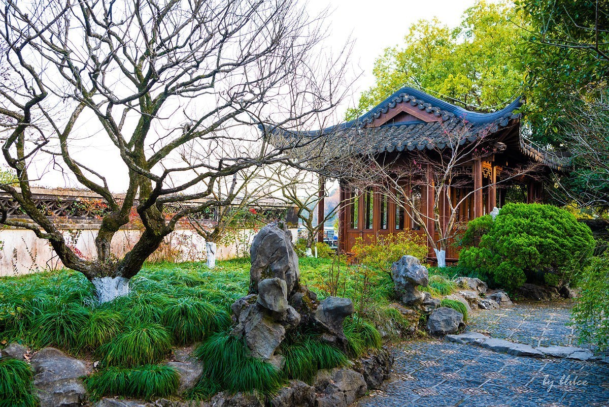 西湖冬景（21）