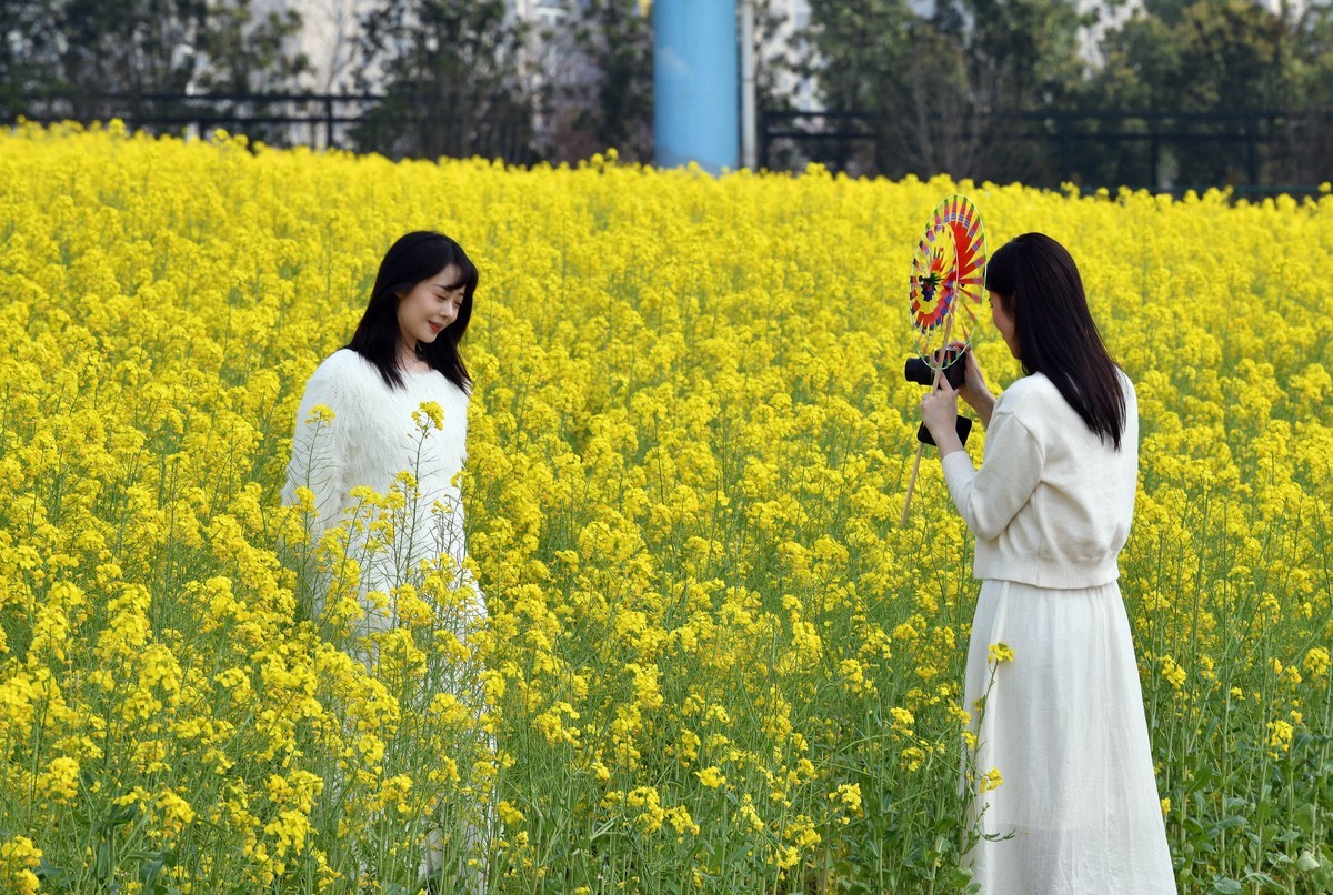 70/200/2.8镜头初试