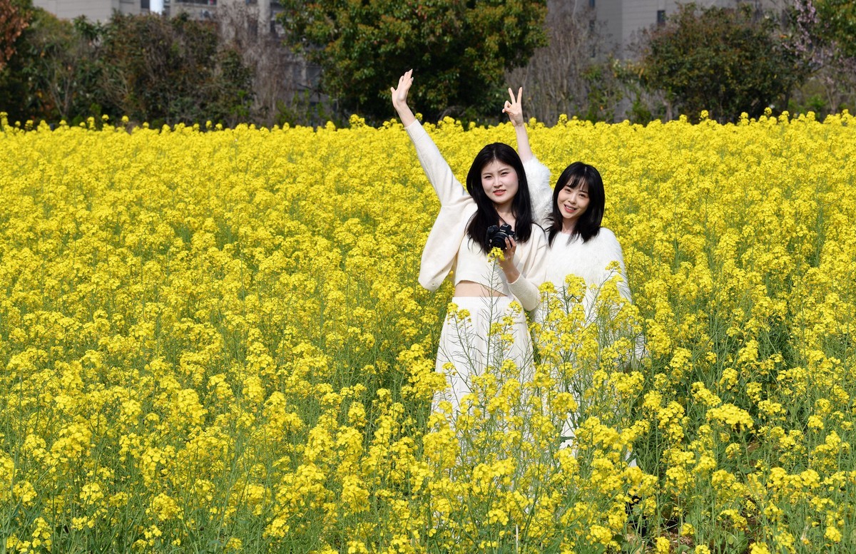 70/200/2.8镜头初试