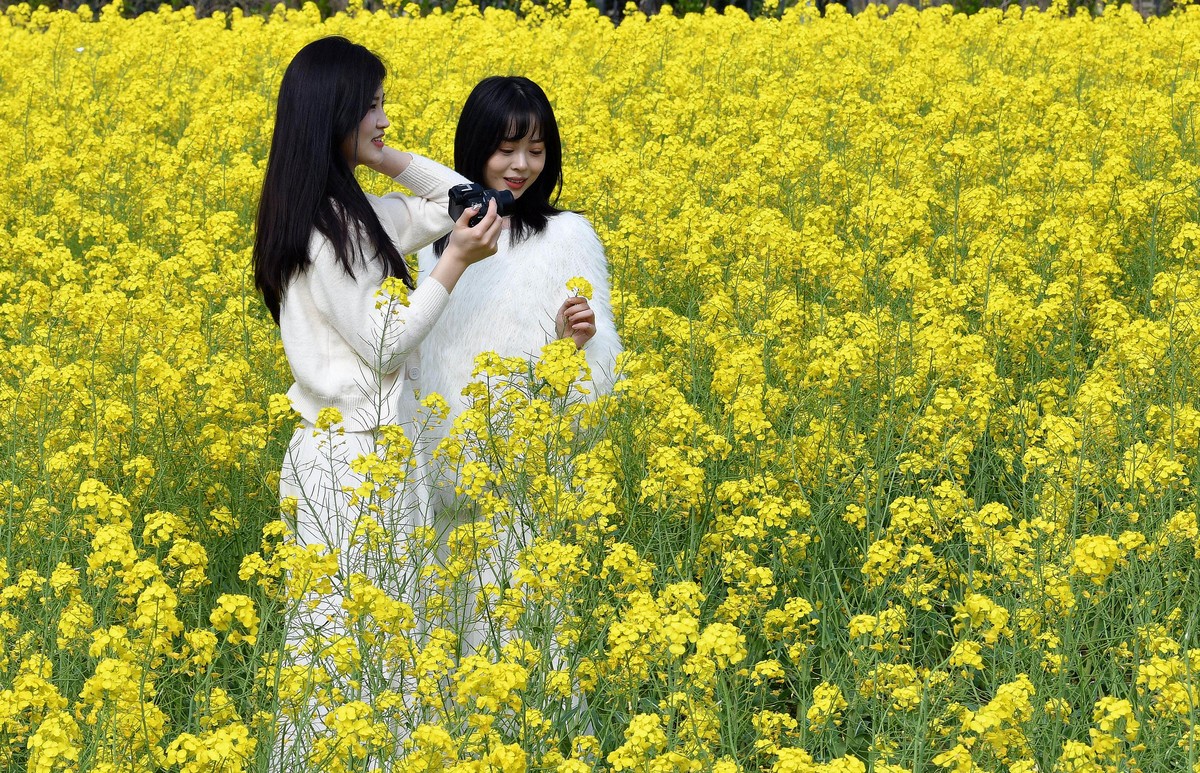 70/200/2.8镜头初试