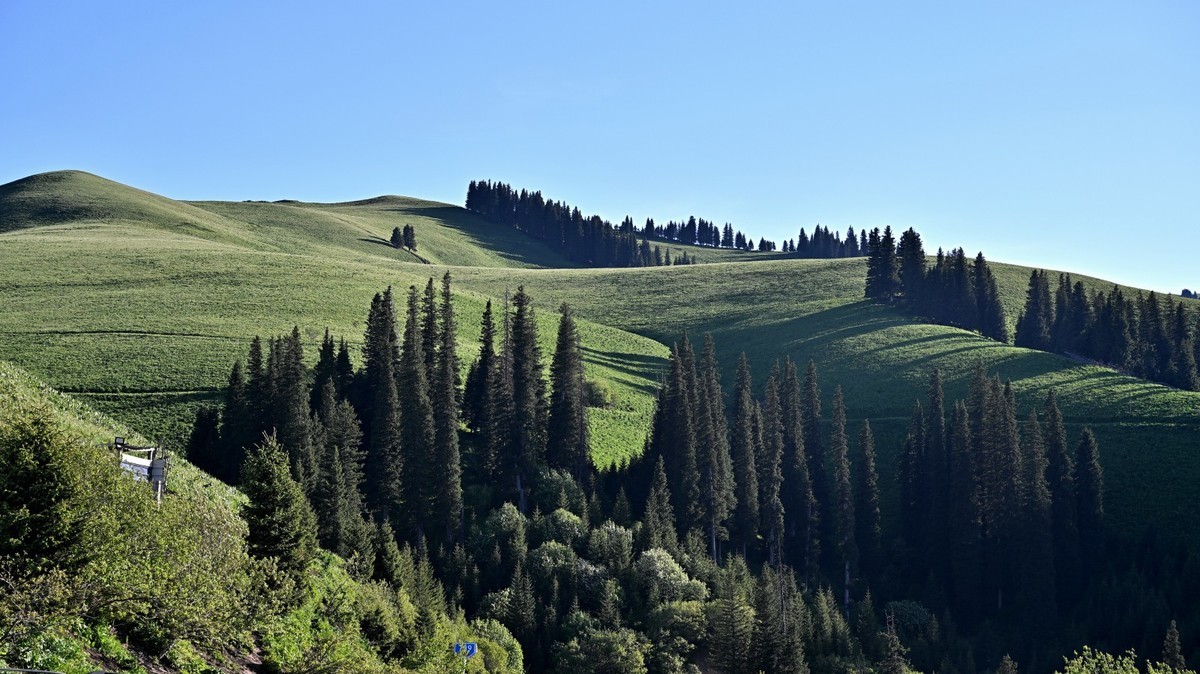 新疆游/独库公路（41）