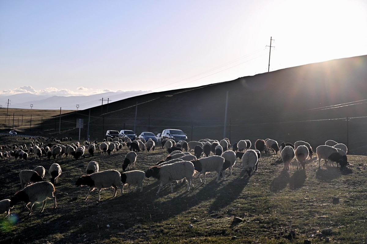 新疆游/独库公路（41）