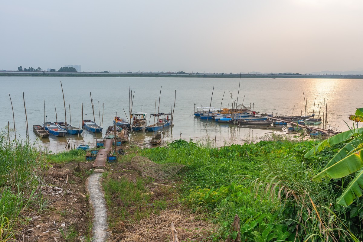 佛山江河风光