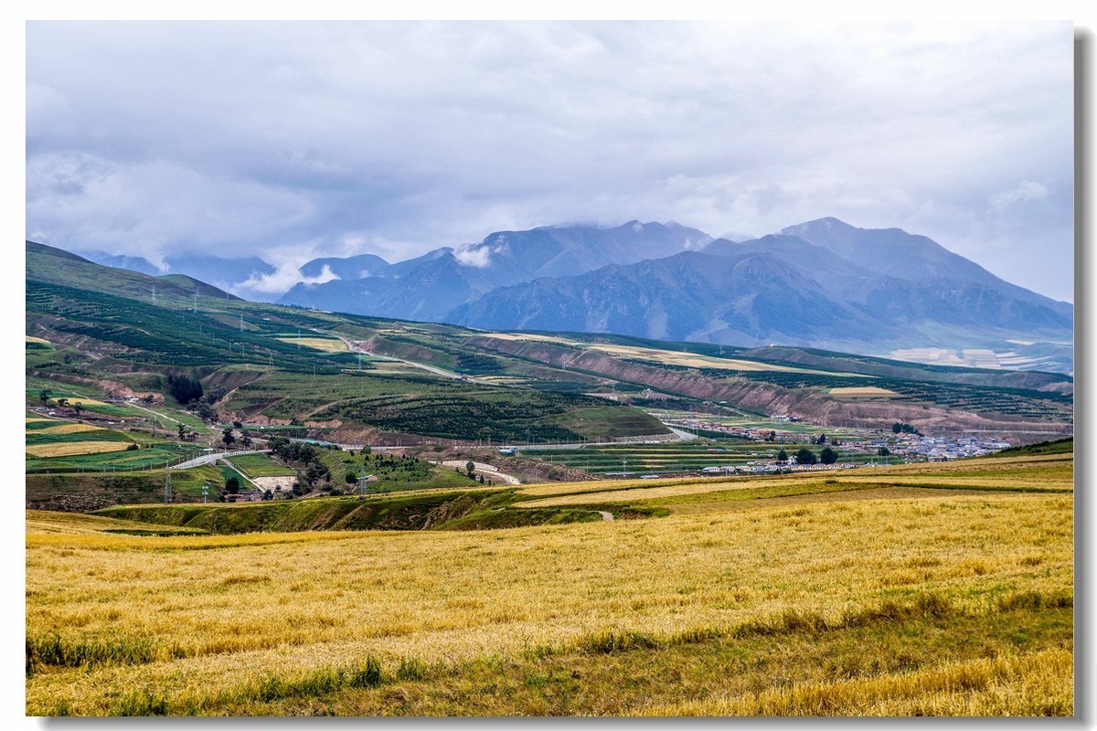 青甘大环之旅——卓尔山下（2）