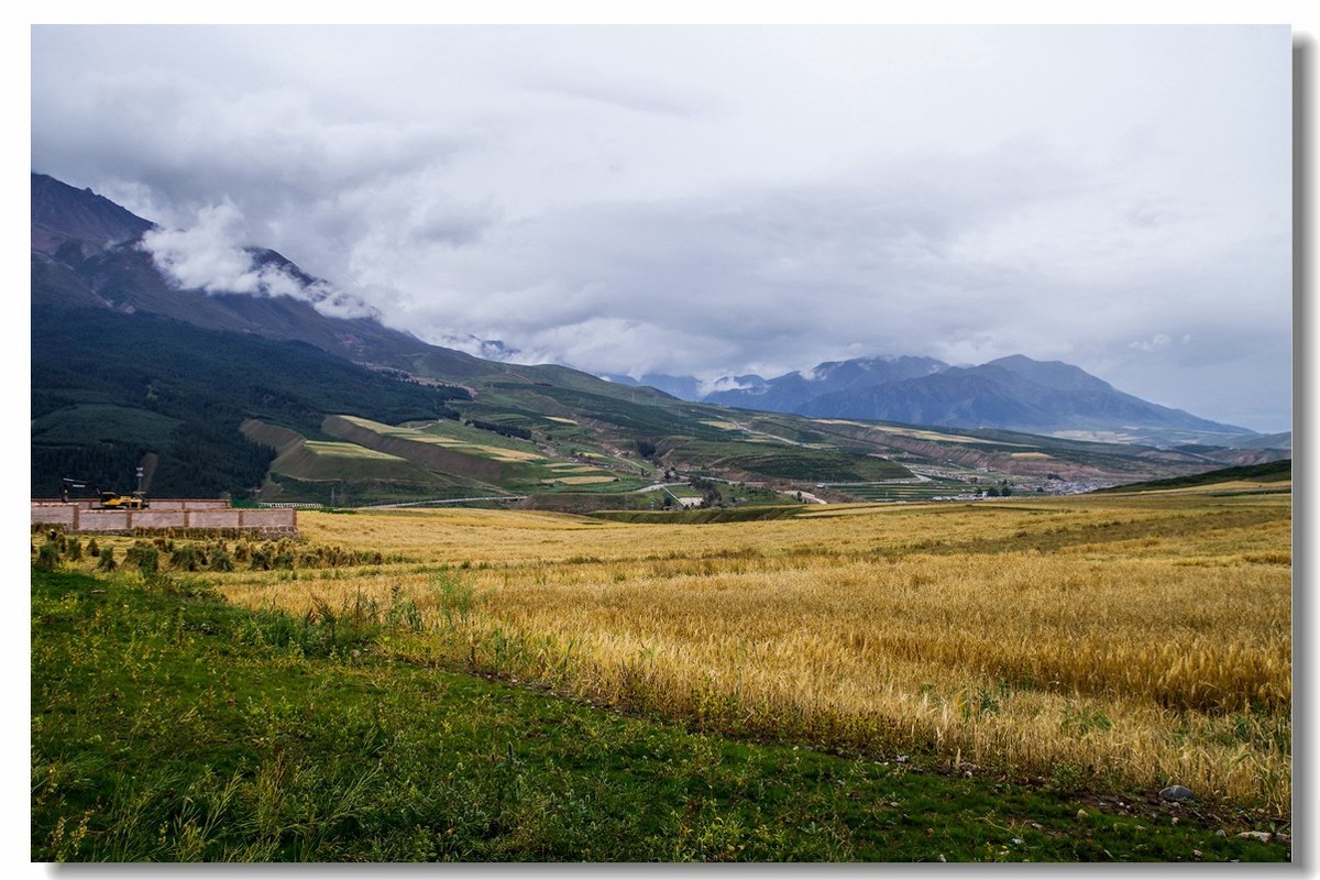 青甘大环之旅——卓尔山下（2）