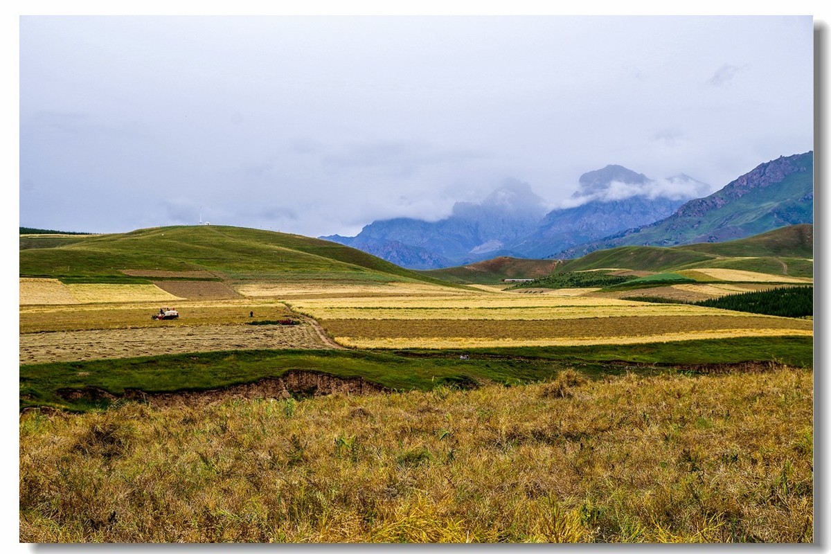 青甘大环之旅——卓尔山下（2）