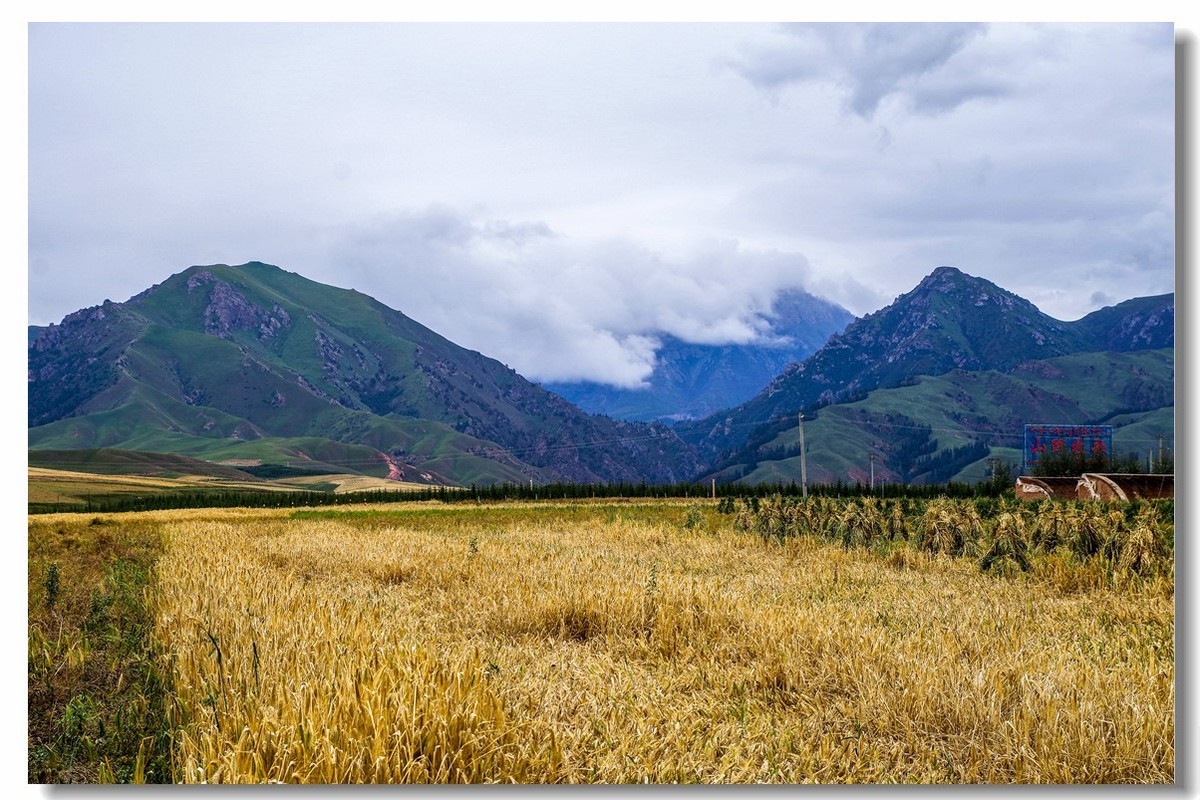 青甘大环之旅——卓尔山下（2）