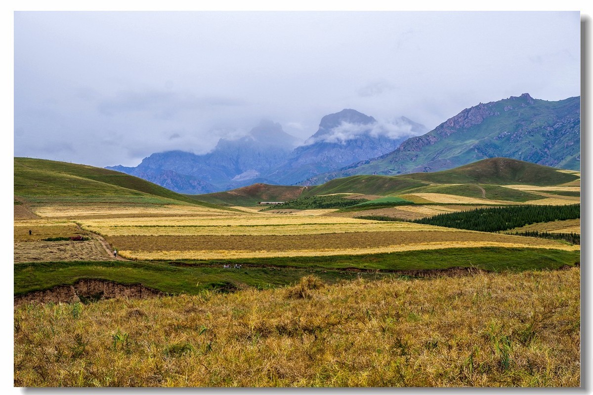 青甘大环之旅——卓尔山下（2）