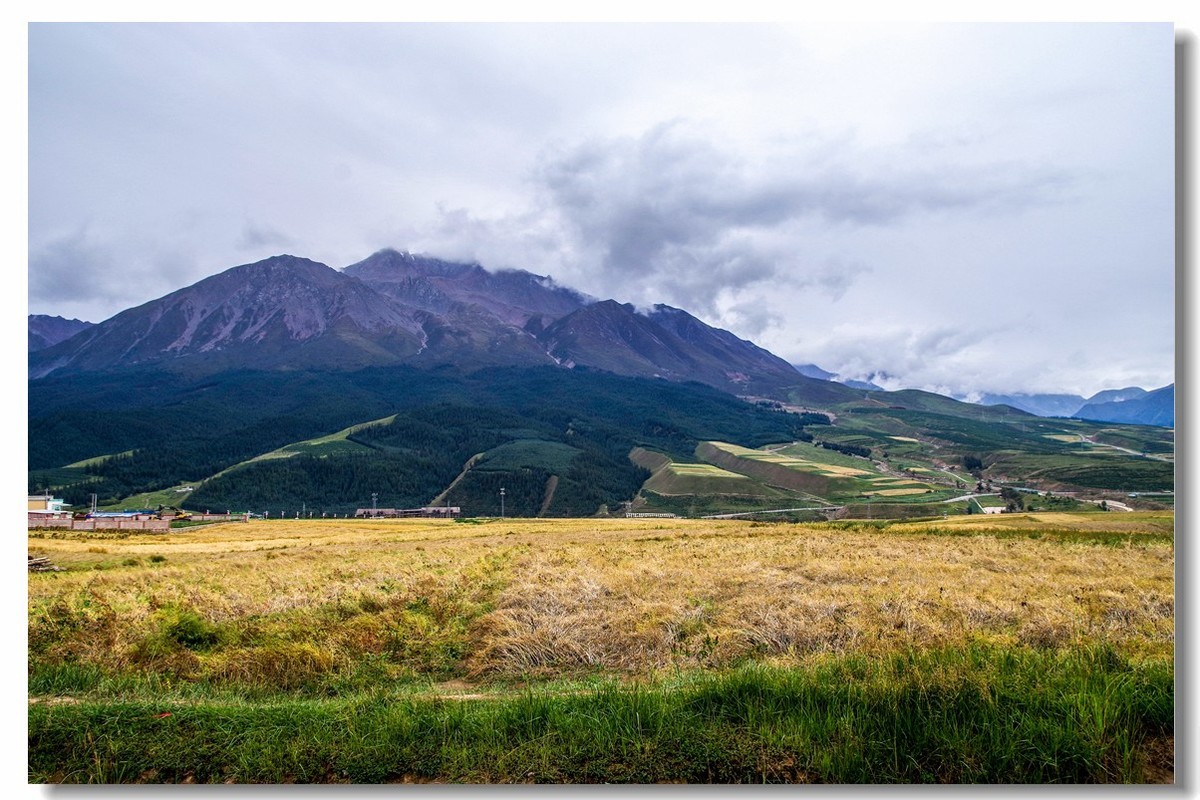 青甘大环之旅——卓尔山下（2）