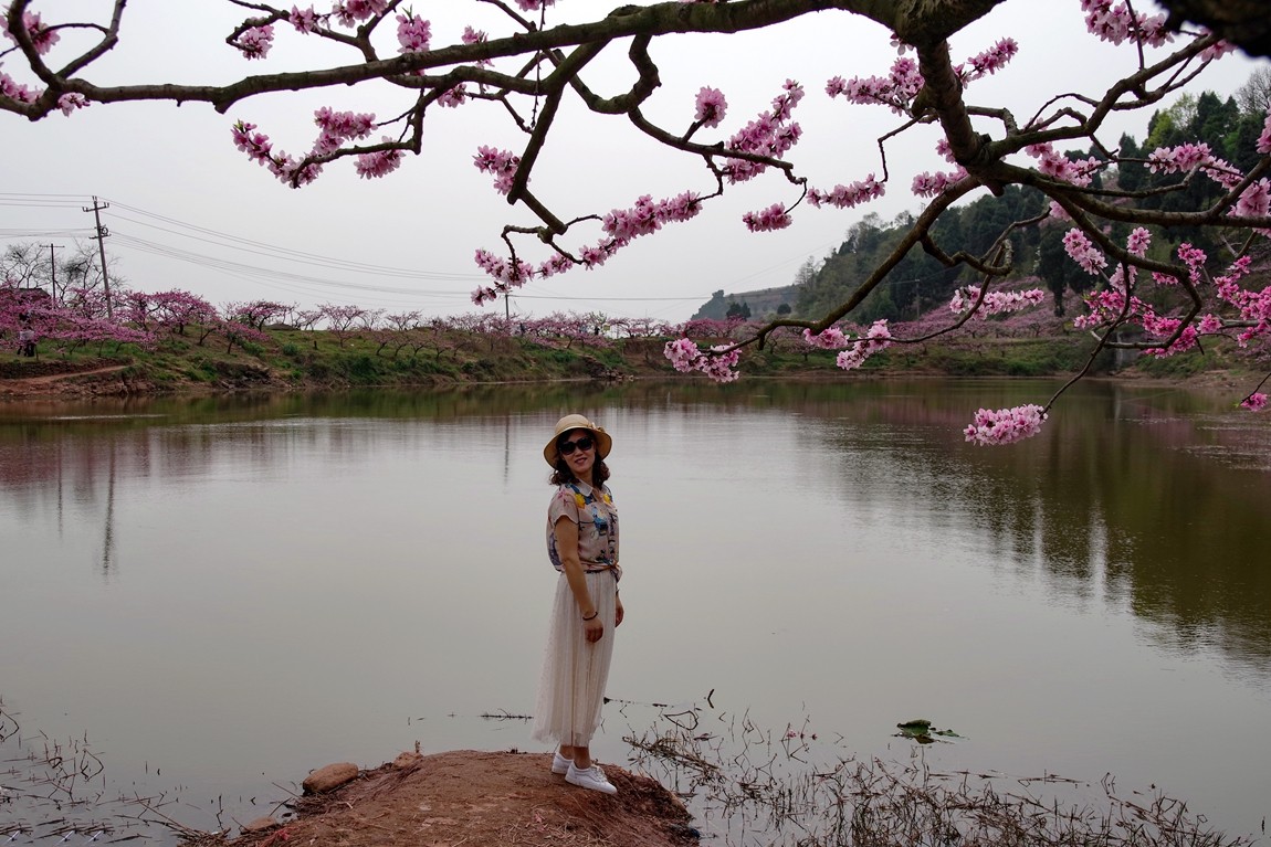 春日探访成都龙泉桃花沟【5】