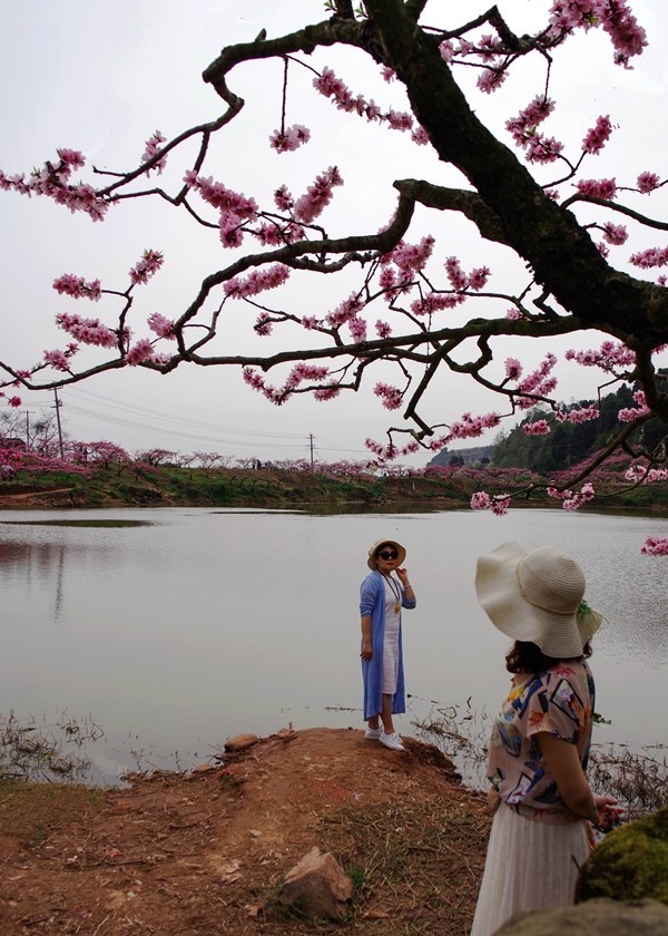 春日探访成都龙泉桃花沟【5】