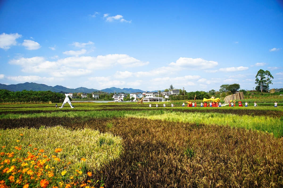 璧山七塘“云雾花涧”乡村艺术集-中关村在线摄影论坛