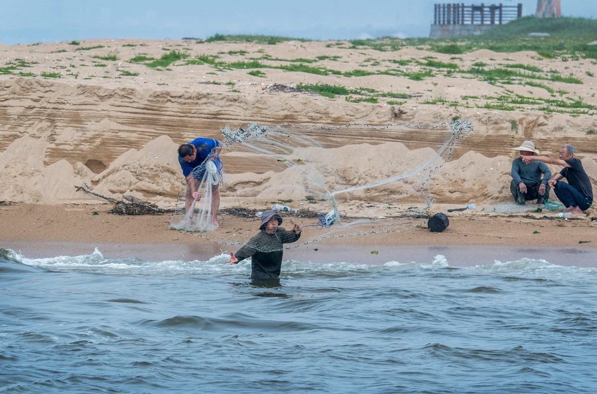 海边淘（二十）