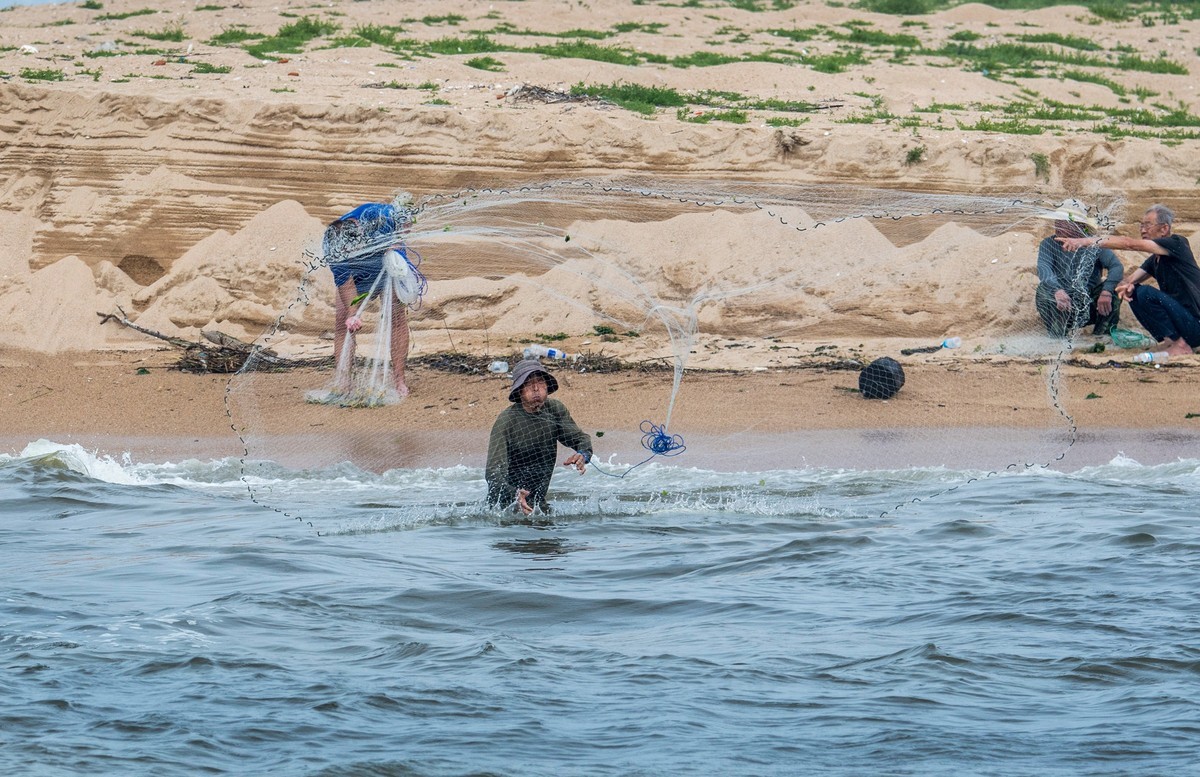 海边淘（二十）