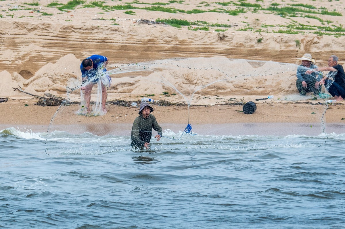 海边淘（二十）
