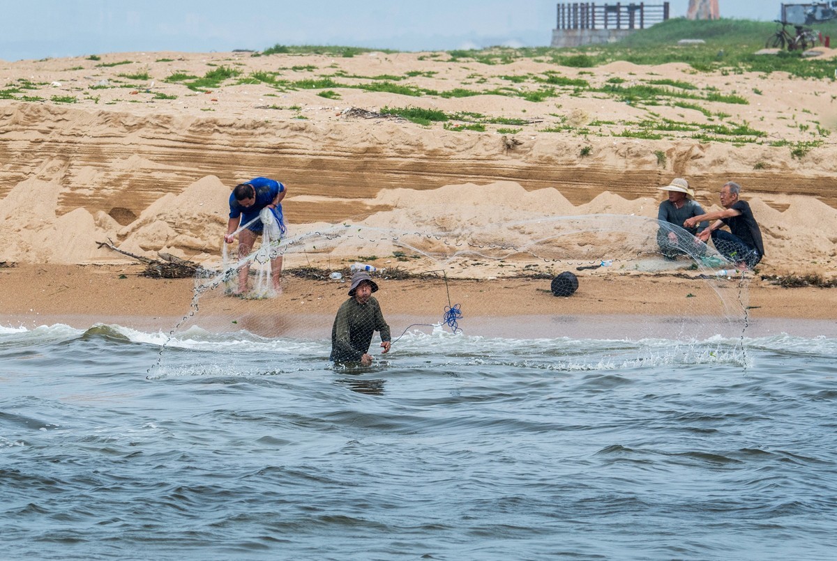 海边淘（二十）