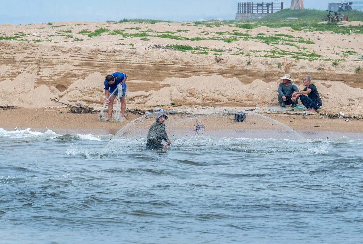 海边淘（二十）