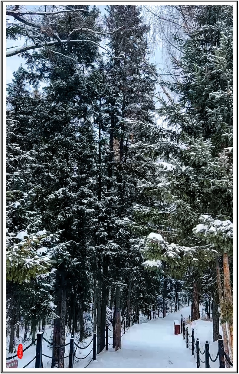 2022年新疆风光抓拍-18