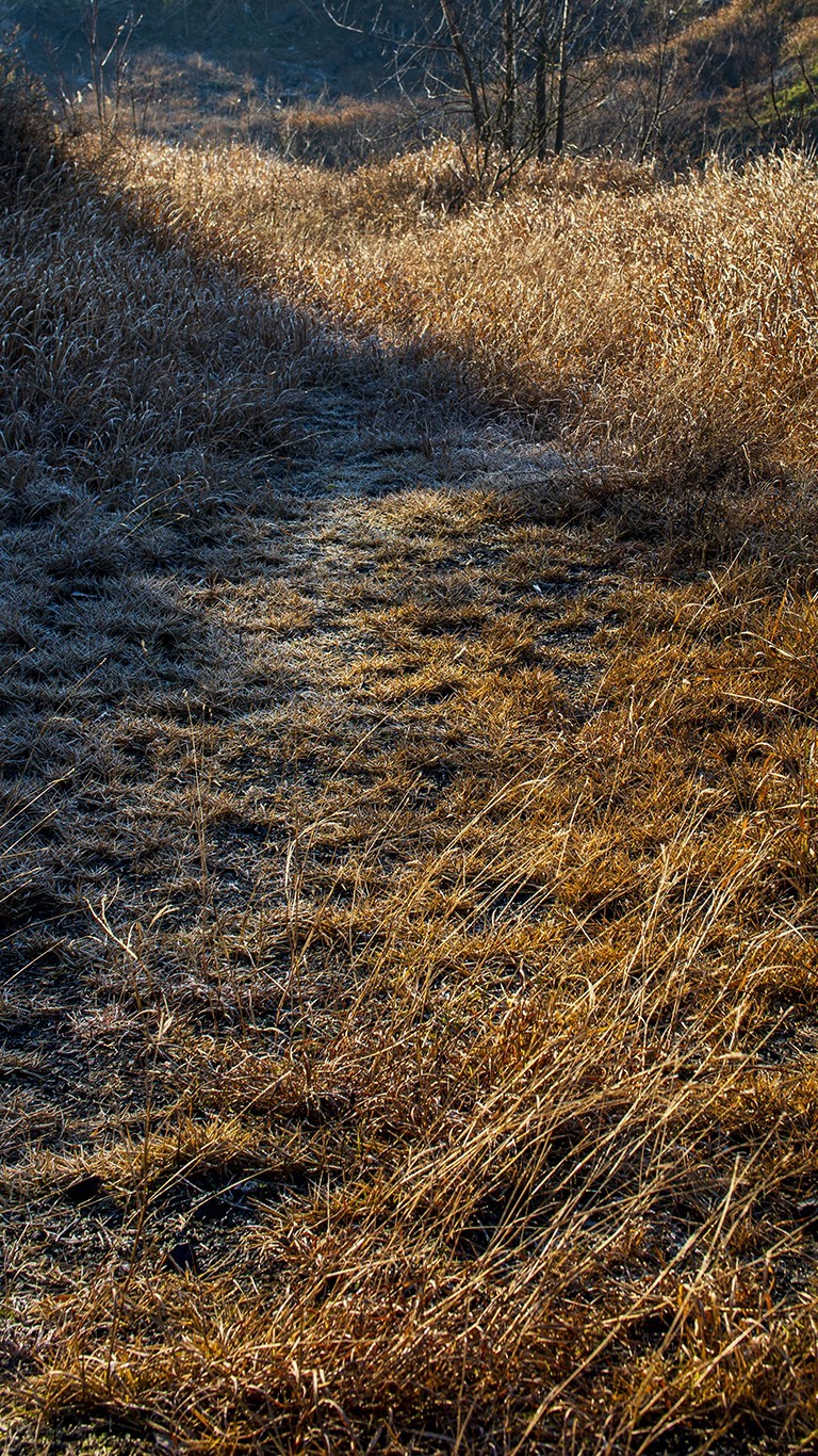南京六。合西阳山矿坑石柱林