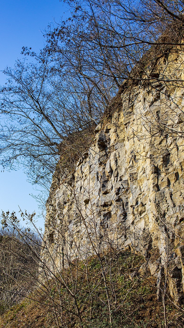 南京六。合西阳山矿坑石柱林