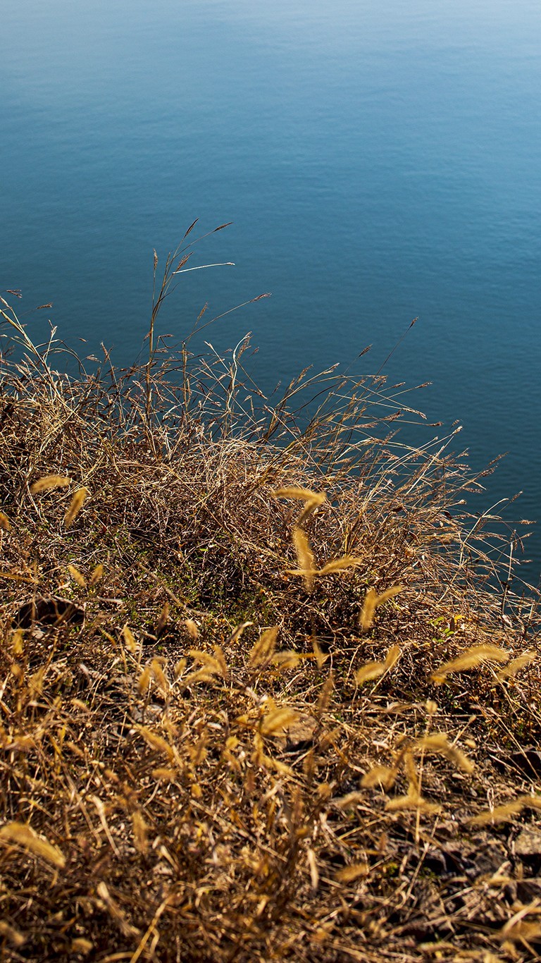 南京六。合西阳山矿坑石柱林