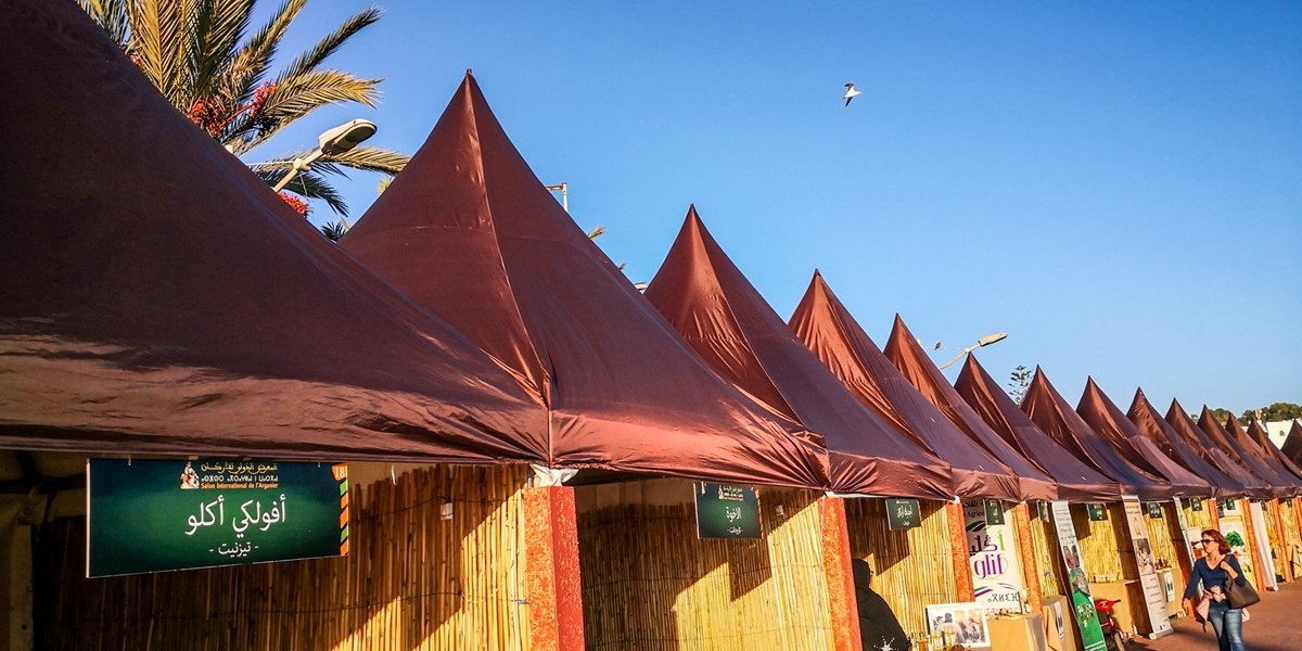 携“阿加迪尔随拍”-- 祝师友兔年吉祥，健康平安！！！