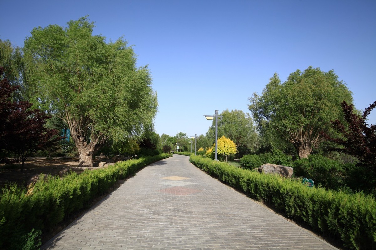 无敌兔真是部好相机！