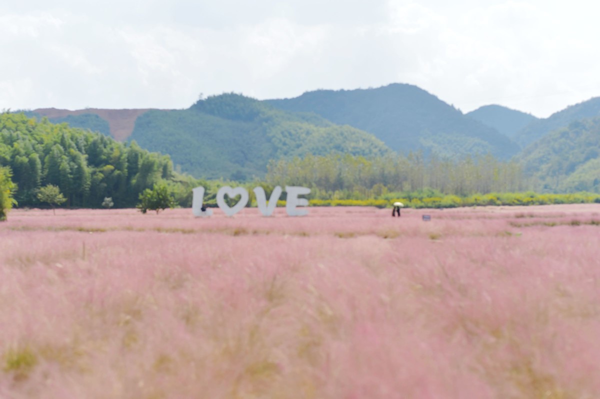 致自己之七：中年少女也可以在皖南的粉黛里风情万种！70-700/14-24原片直出