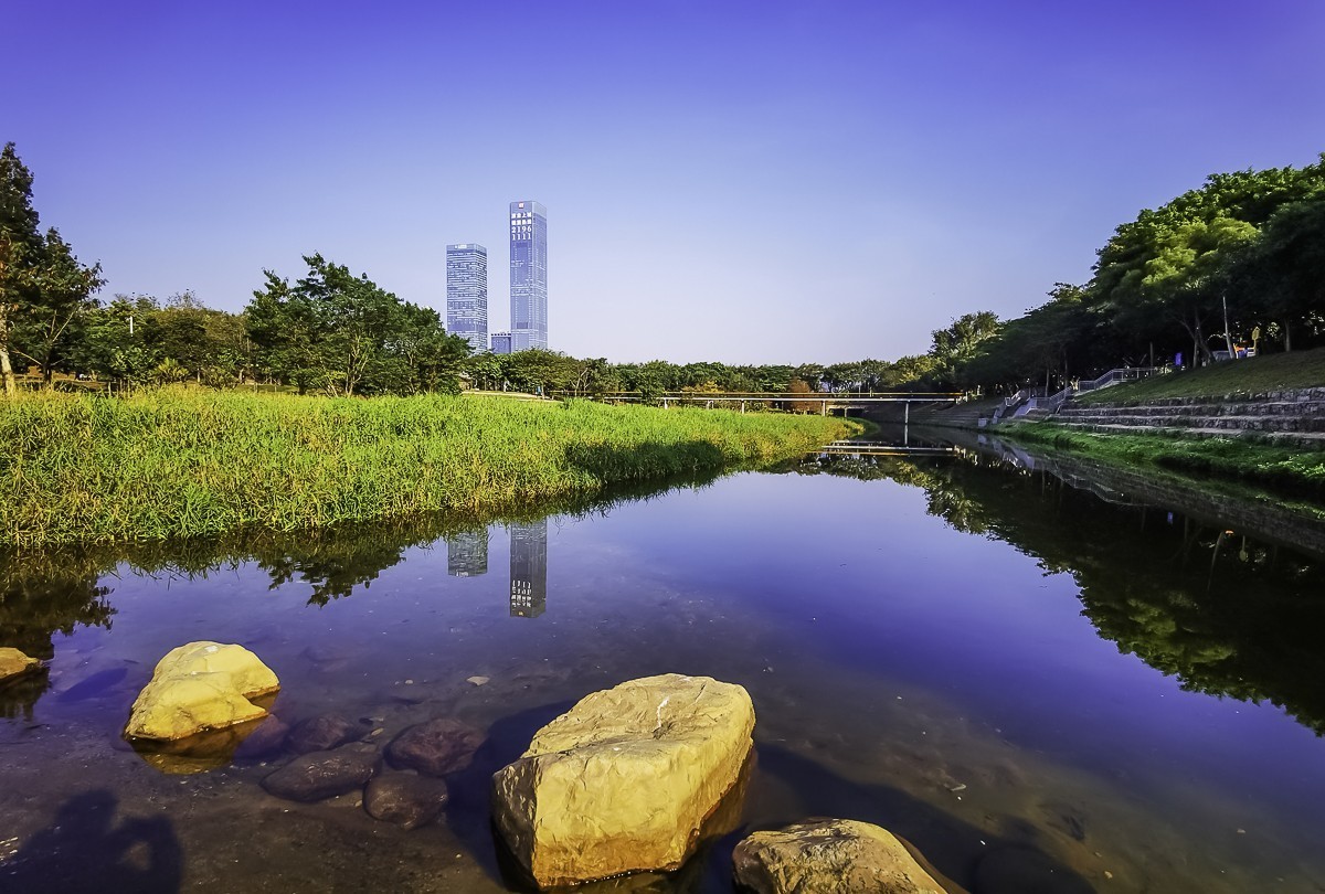 深圳中心公园掠影