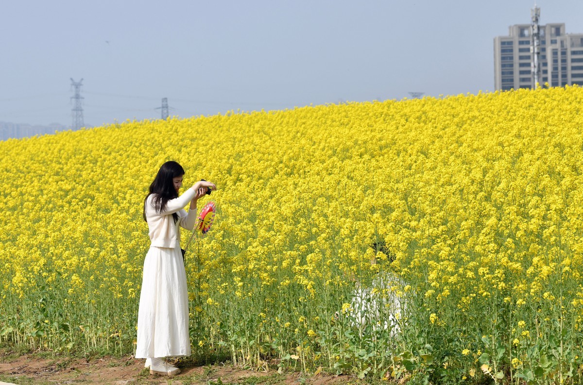 70/200/2.8镜头初试