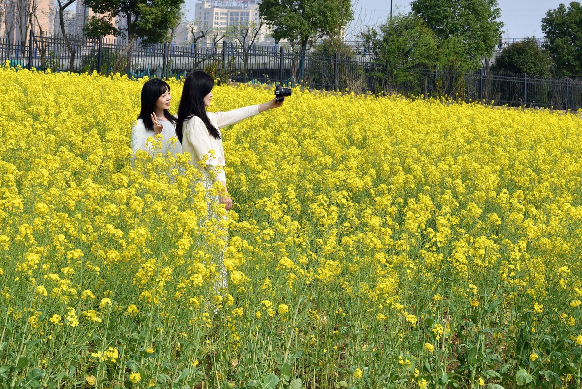 70/200/2.8镜头初试