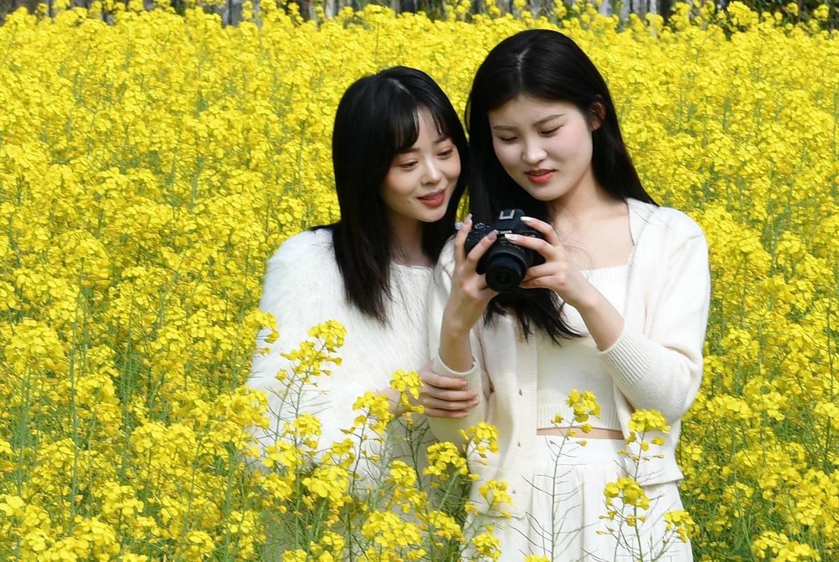 70/200/2.8镜头初试