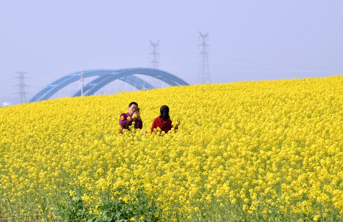 70/200/2.8镜头初试