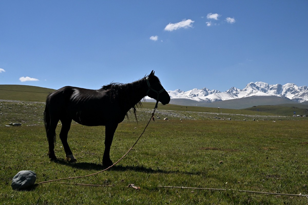 新疆游/独库公路（41）