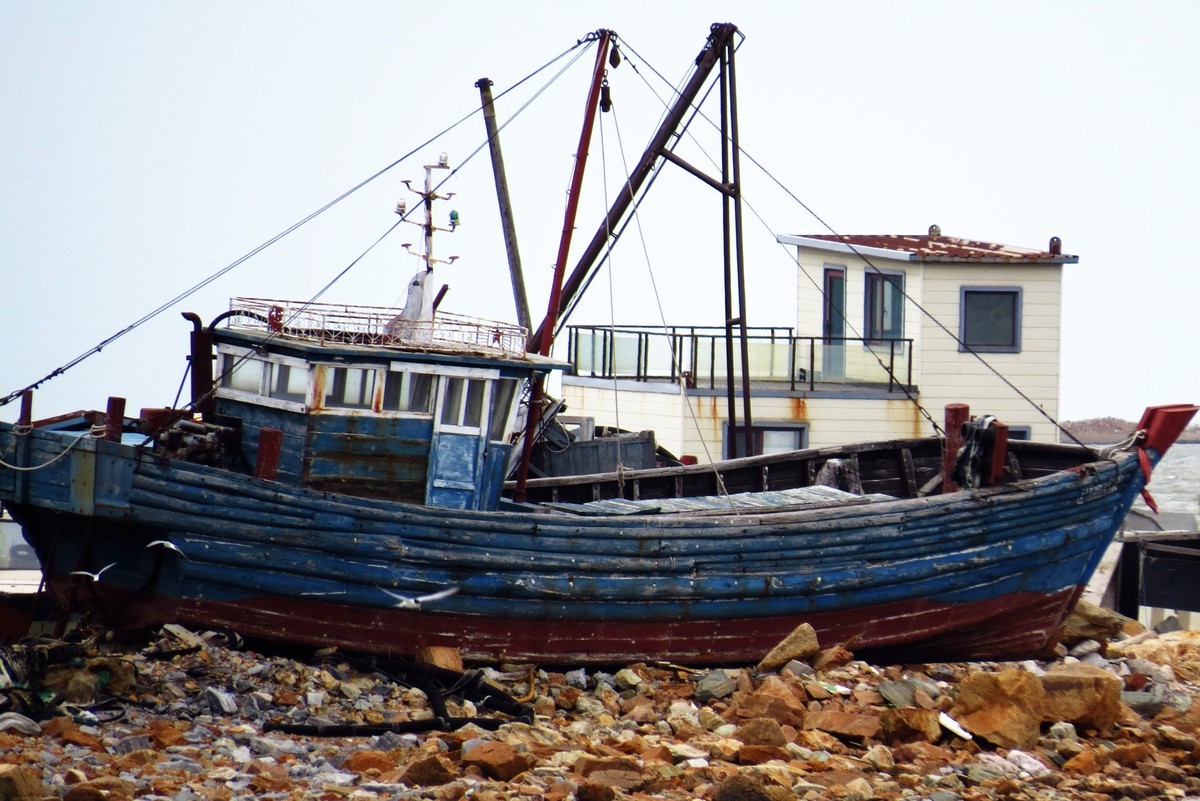 休渔期的四道沟渔港
