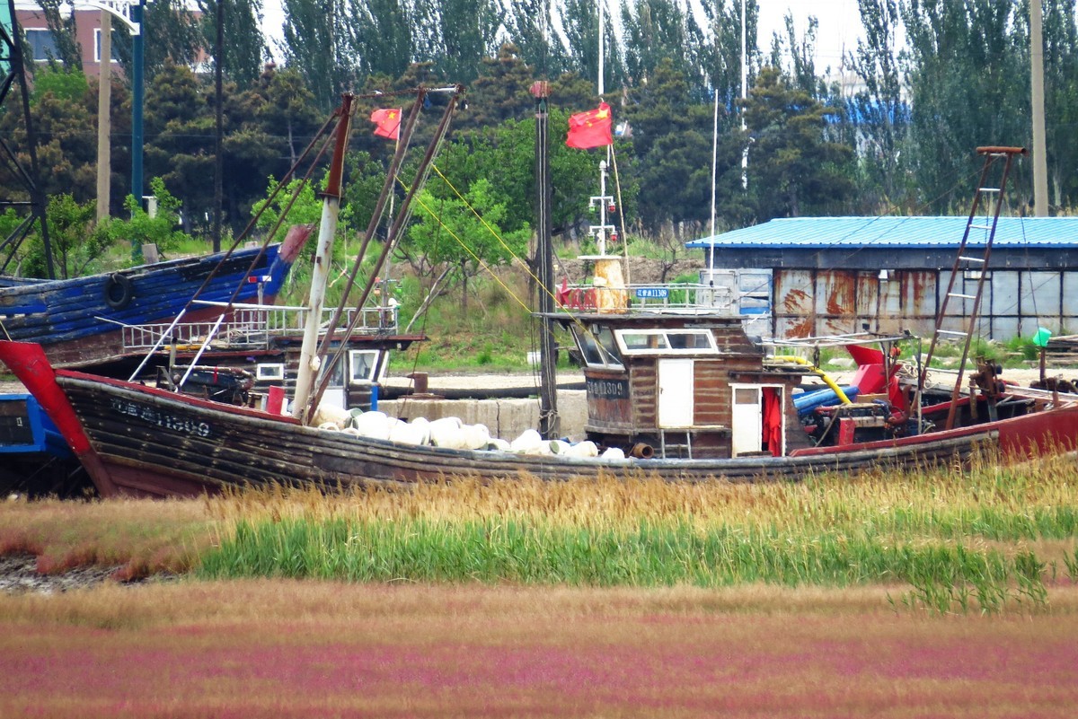 休渔期的四道沟渔港