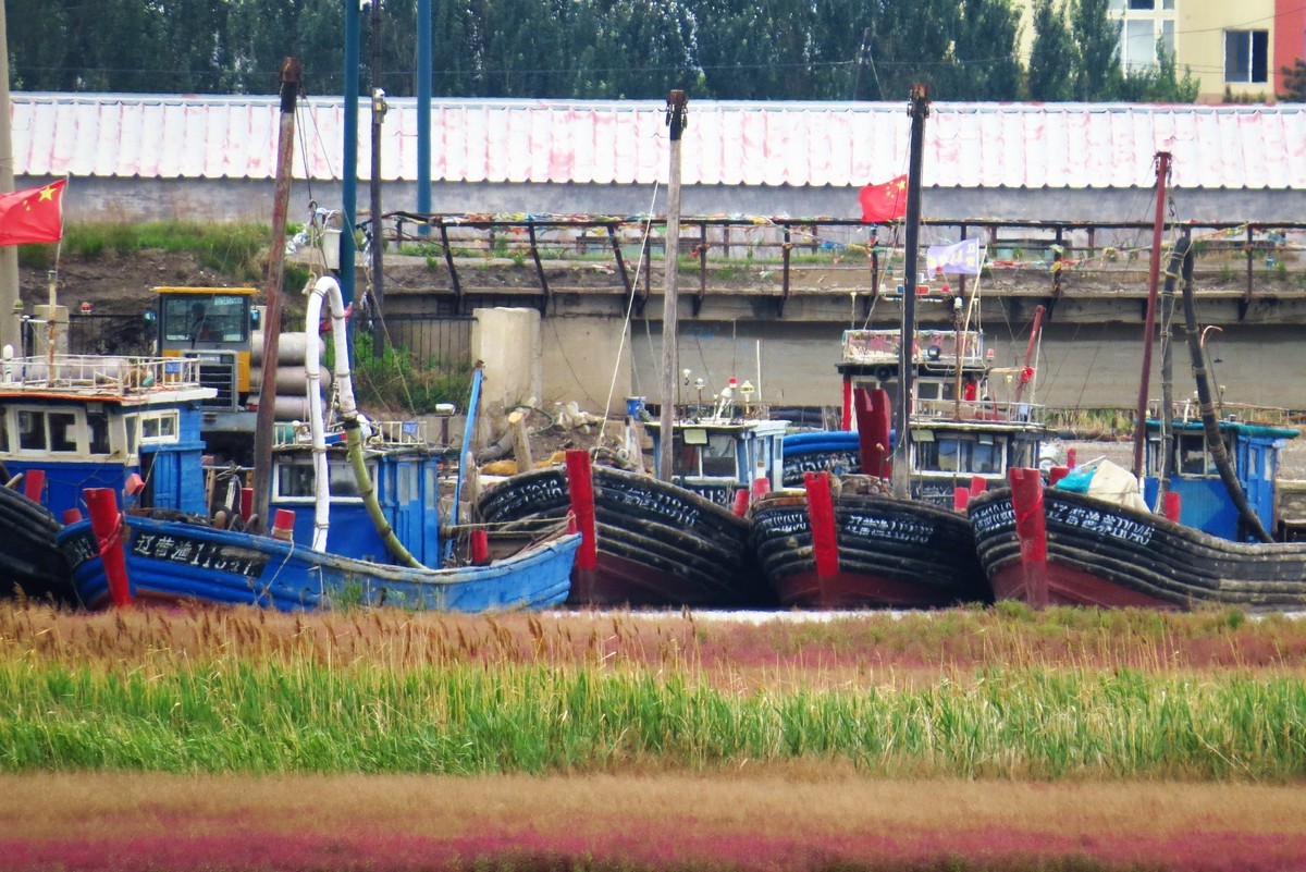 休渔期的四道沟渔港