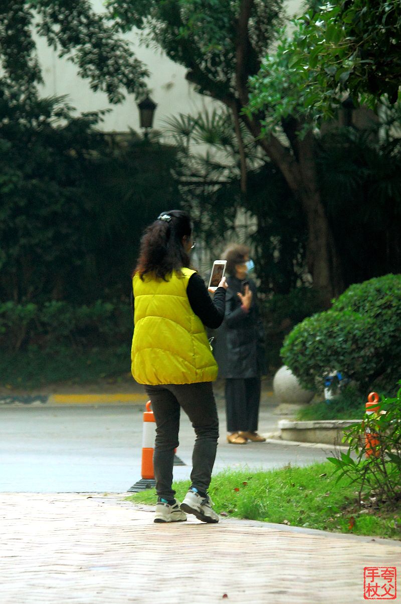 封控中，只能在小区内随拍（一）