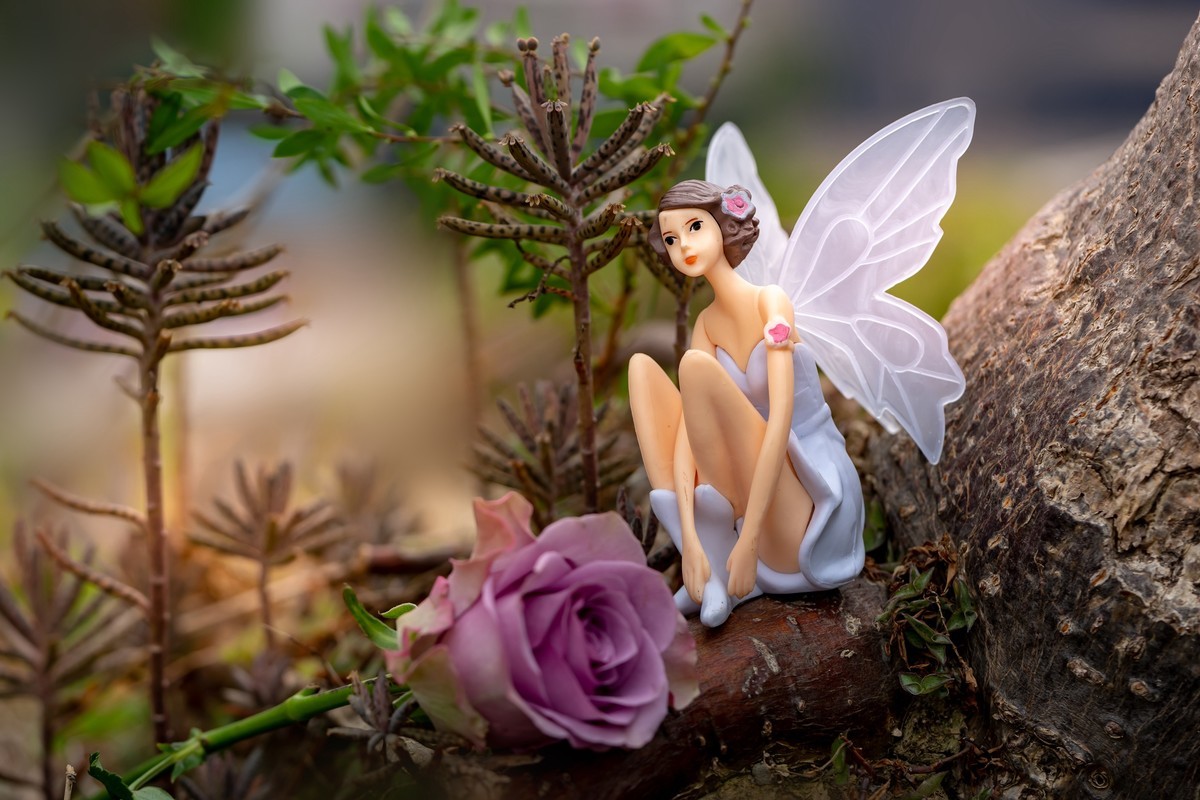 防控宅家随影《小天使》