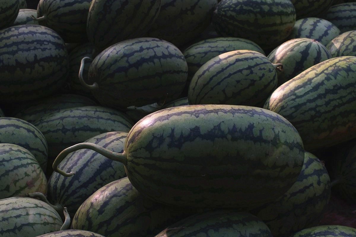 初夏早市掠影-22P