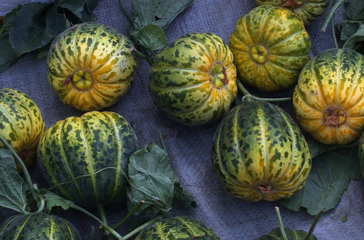 初夏早市掠影-22P