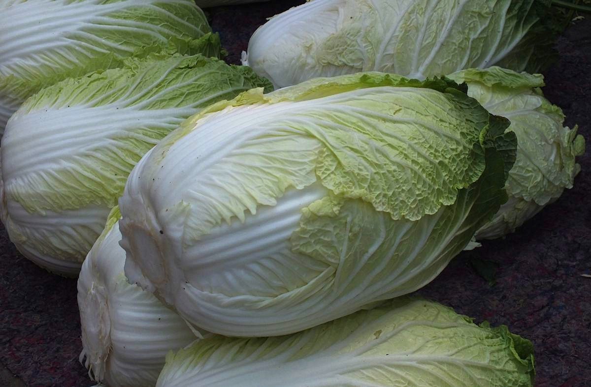 初夏早市掠影-22P