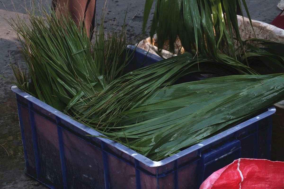 初夏早市掠影-22P