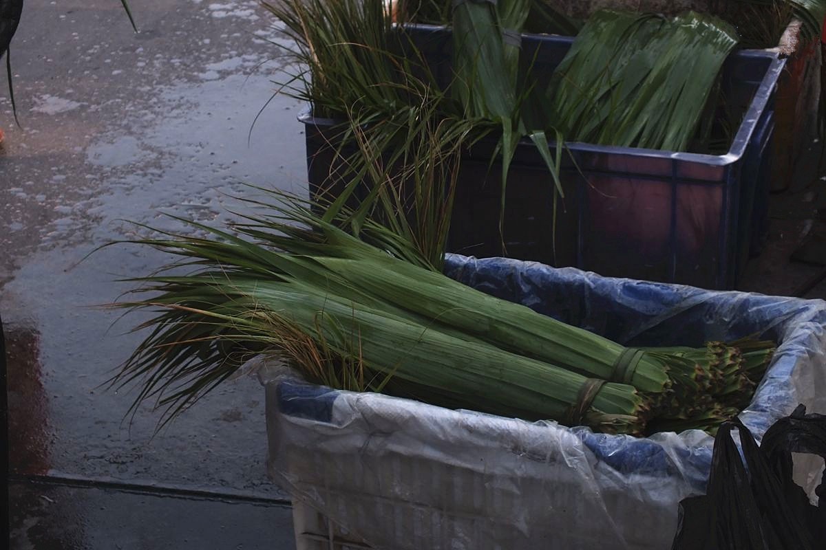 初夏早市掠影-22P