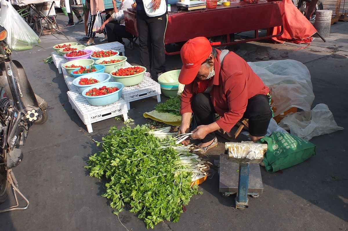 初夏早市掠影-22P